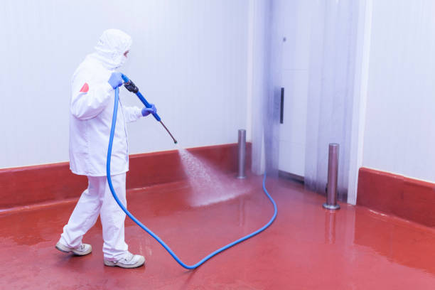 Best Pre-Holiday Cleaning  in Whitefish, MT